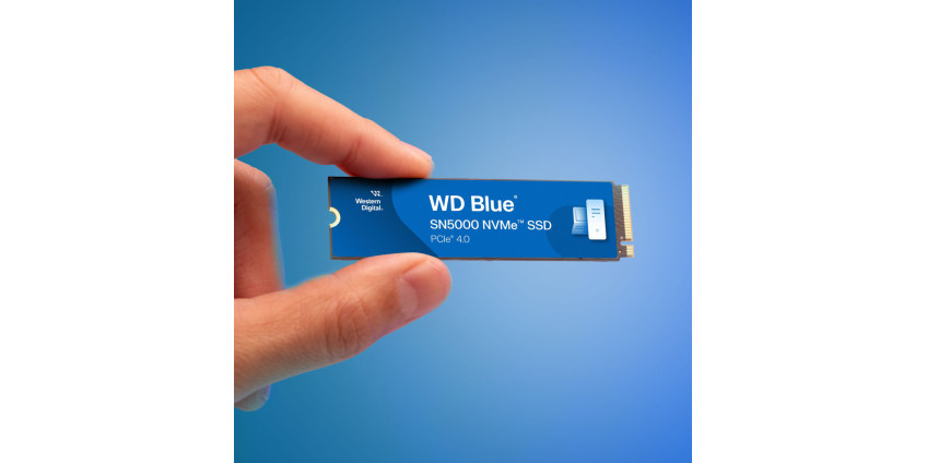 Обзор новинки: WD BLUE SN5000 4TB NVME SSD Обзор новинки: WD BLUE SN5000 4TB NVME SSD