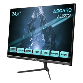 Монитор ASGARD Gaming 24.5" AS255QF IPS Black 300Hz