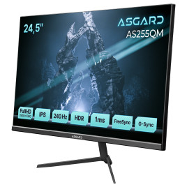 Монітор ASGARD Gaming 24.5" AS255QM IPS Black 240Hz