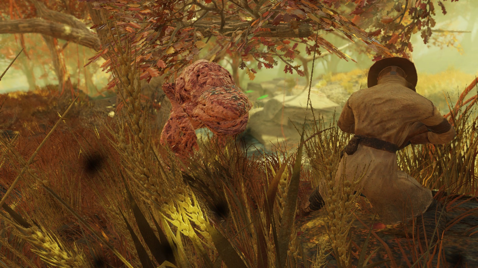 МЕСТОПОЛОЖЕНИЕ GULPER LAGOON В FALLOUT 76 МЕСТОПОЛОЖЕНИЕ GULPER LAGOON В FALLOUT 76